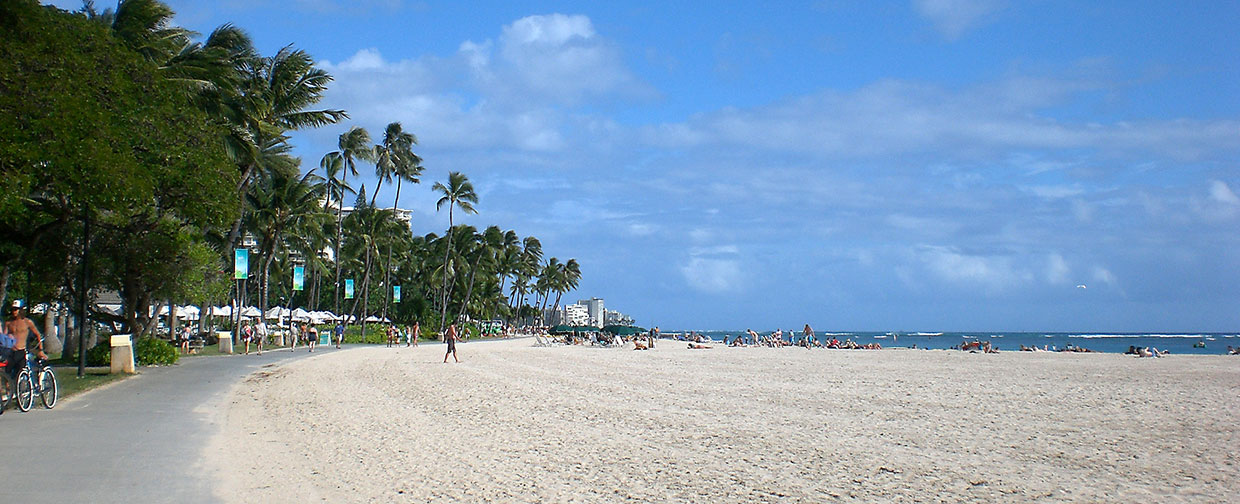 サンプルムービー