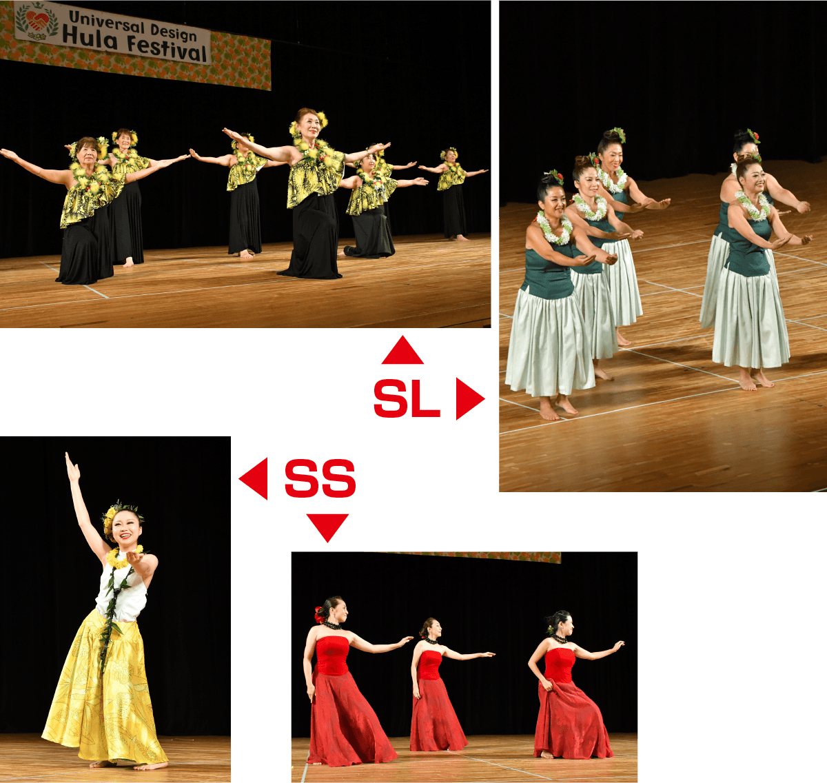 スナップサイズ比較